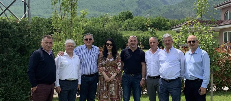 Bordi Drejtues vizitë në Pejë, Kosovë